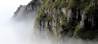 安卓设备下载指南